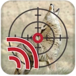 coyote hunting calls android application logo